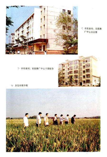 《醴陵农业志》.pdf电子版_湖南省志预览图4