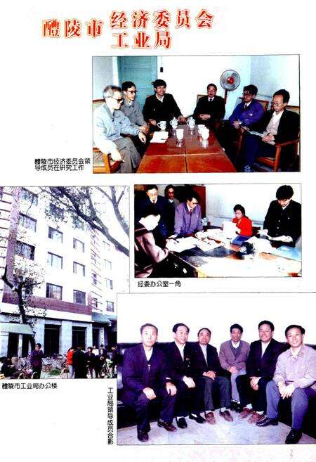 《醴陵工业志》.pdf电子版_湖南省志预览图4