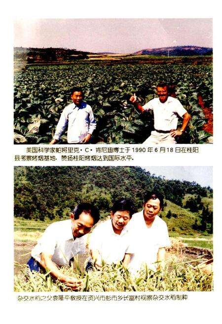 《郴州地区农业志》.pdf电子版_湖南省志预览图3