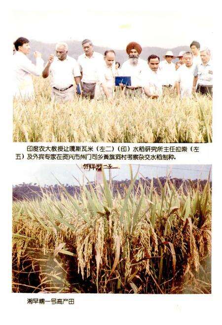 《郴州地区农业志》.pdf电子版_湖南省志预览图4