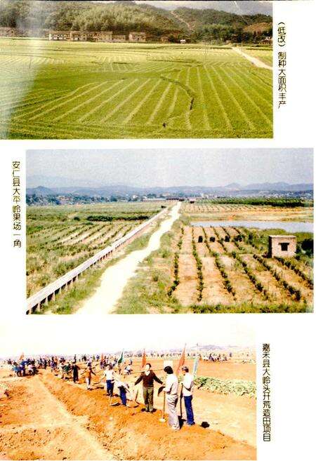 《郴州地区农业志》.pdf电子版_湖南省志预览图5