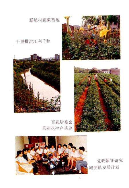 《攸县城关镇志》.pdf电子版_湖南省志预览图3