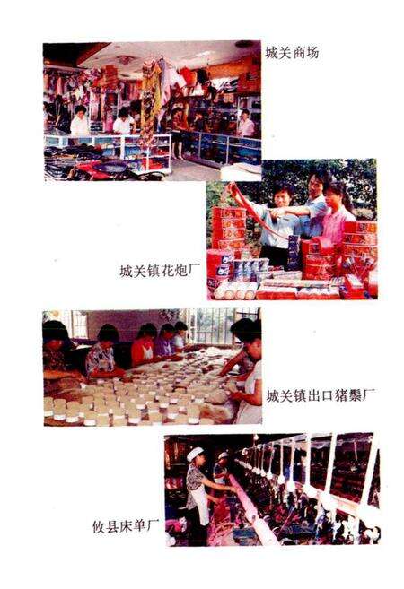 《攸县城关镇志》.pdf电子版_湖南省志预览图5