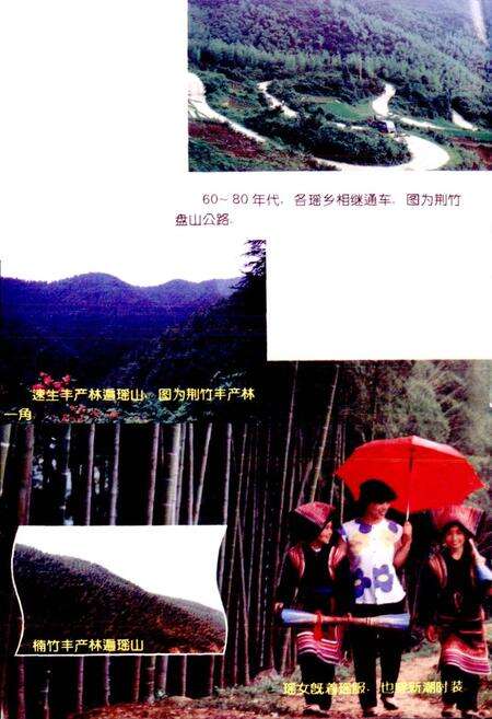 《蓝山县瑶族志》.pdf电子版_湖南省志预览图5