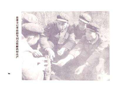 《黔阳县医药志》.pdf电子版_湖南省志预览图4