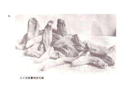 《黔阳县医药志》.pdf电子版_湖南省志预览图5