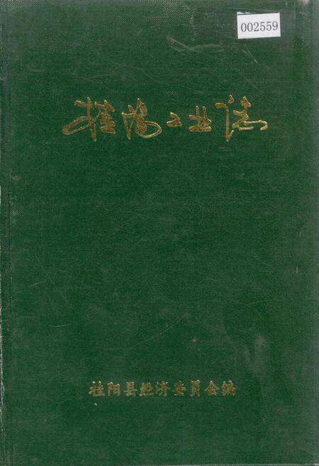 《桂阳县工业志》.pdf电子版_湖南省志缩略图