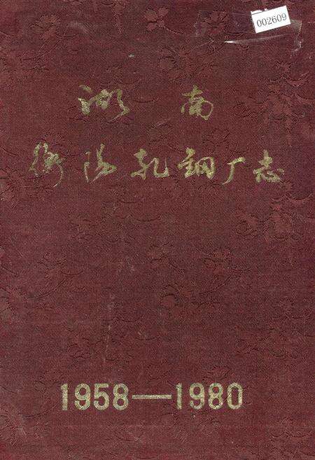 《湖南衡阳轧钢厂志》.pdf电子版_湖南省志缩略图