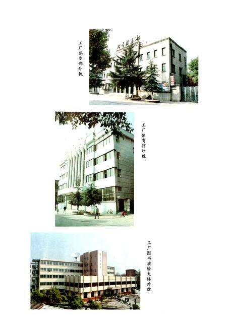 《中国有色金属工业总公司 衡阳有色冶金机械总厂工会志》.pdf电子版_湖南省志预览图3