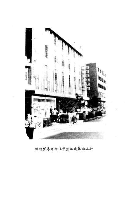 《芷江侗族自治县 供销合作社志》.pdf电子版_湖南省志预览图4