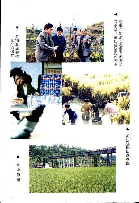 《凤凰县农业志》.pdf电子版_湖南省志预览图5