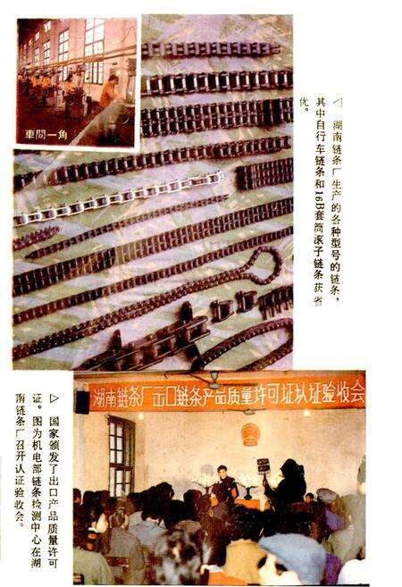 《益阳市冶金机械工业志》.pdf电子版_湖南省志预览图4