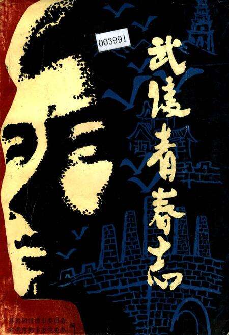 《武陵青春志》.pdf电子版_湖南省志缩略图