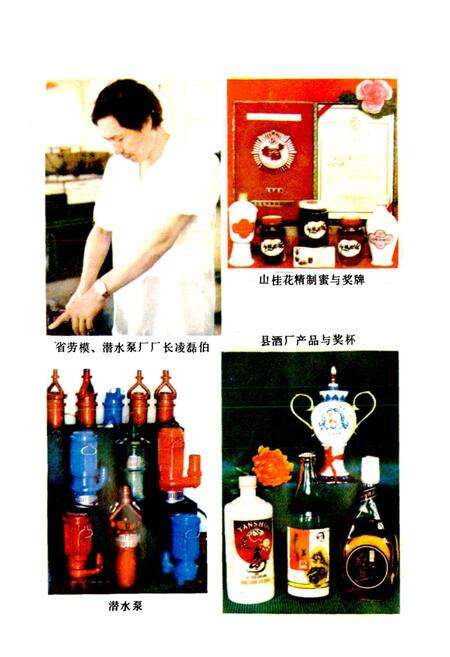 《平江县工业志》.pdf电子版_湖南省志预览图3