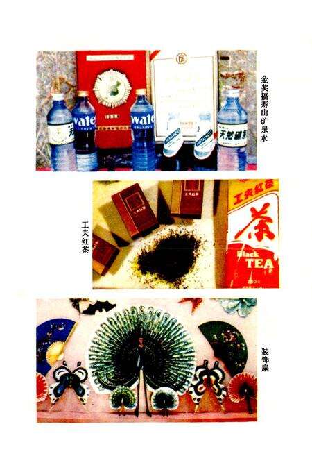 《平江县工业志》.pdf电子版_湖南省志预览图4