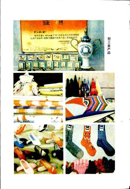 《平江县工业志》.pdf电子版_湖南省志预览图5