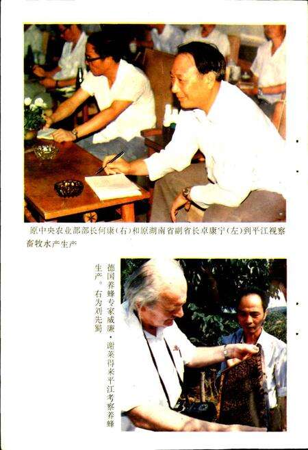 《平江县畜牧水产志》.pdf电子版_湖南省志预览图4