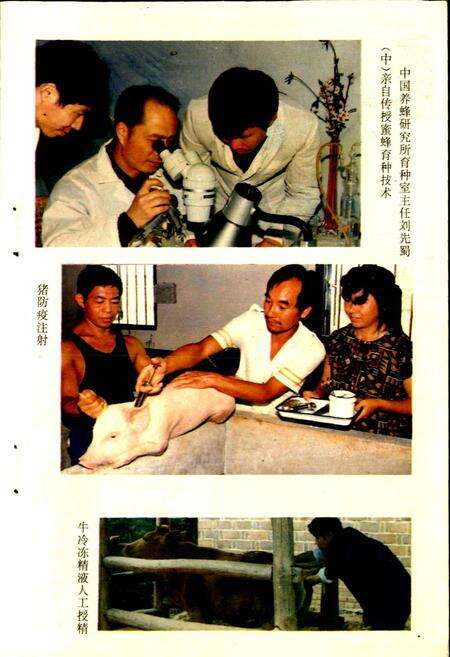 《平江县畜牧水产志》.pdf电子版_湖南省志预览图5