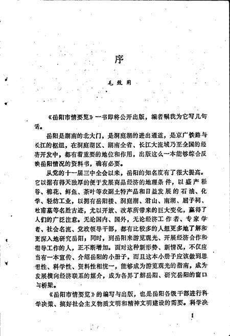 《岳阳市情要览》.pdf电子版_湖南省志预览图3
