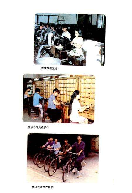 《醴陵邮电志》.pdf电子版_湖南省志预览图5