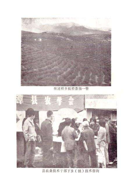 《湘潭县农业志》.pdf电子版_湖南省志预览图4