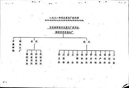 《湖南省邵东焦化厂志》.pdf电子版_湖南省志预览图2