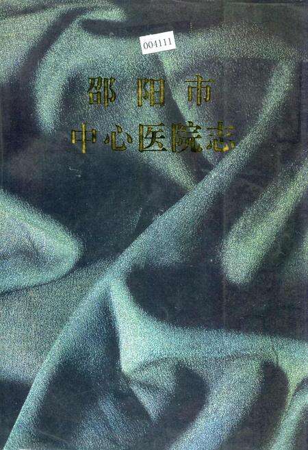 《邵阳市中心医院志》.pdf电子版_湖南省志缩略图