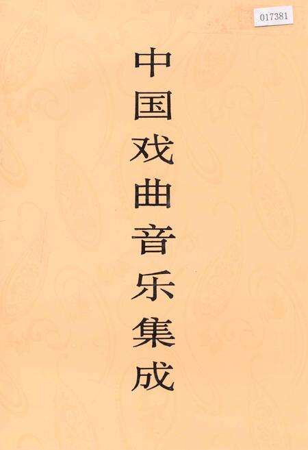 《中国戏曲音乐集成湖南卷 下卷》.pdf电子版_湖南省志缩略图