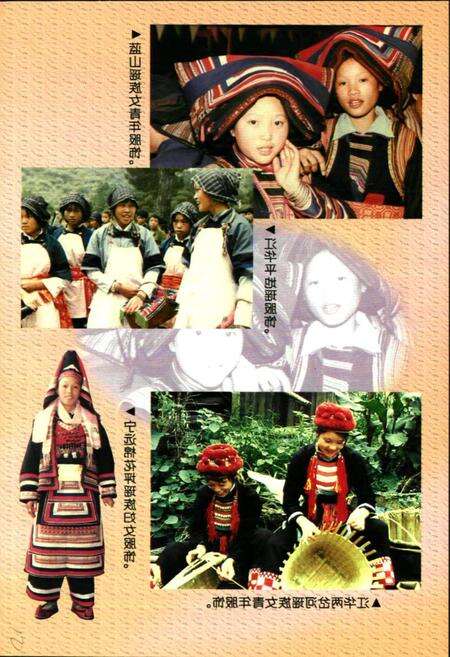 《零陵地区志民族志》.pdf电子版_湖南省志预览图5