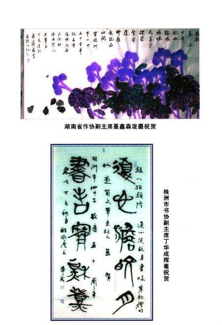 《湖南省株洲市第四中学校志(1957-2007)》.pdf电子版_湖南省志预览图5