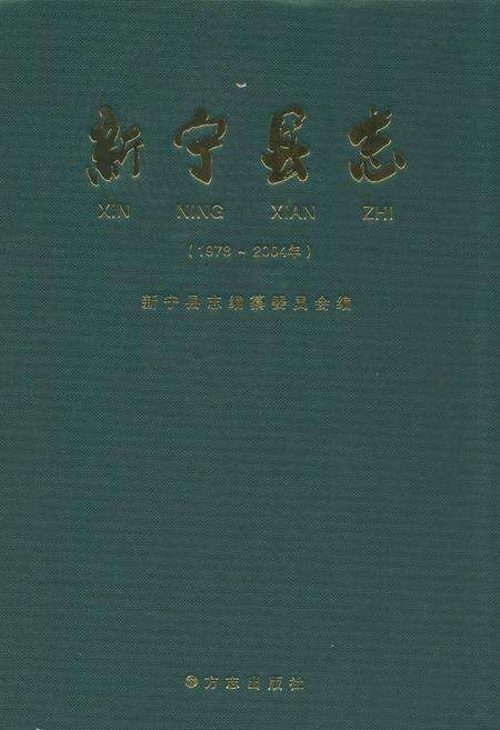 《新宁县志(1978-2004年)》.pdf电子版_湖南省志缩略图
