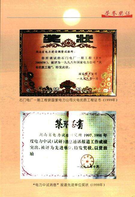 《湖南省电力试验研究所所志(1991~2000)》.pdf电子版_湖南省志预览图5