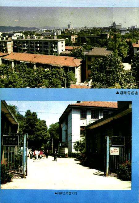 《湖南有色金属研究所志(1986-1990)》.pdf电子版_湖南省志预览图4