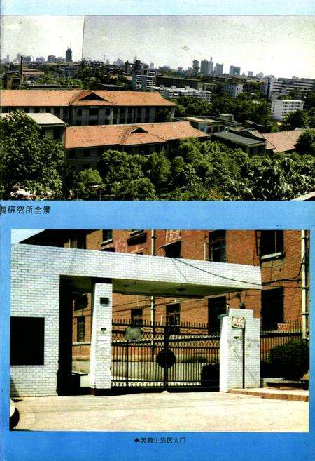 《湖南有色金属研究所志(1986-1990)》.pdf电子版_湖南省志预览图5