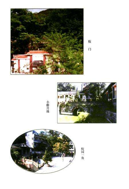 《凤凰县文昌阁小学校志(1905-2000)》.pdf电子版_湖南省志预览图5