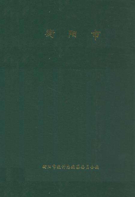 《衡阳市统计志》.pdf电子版_湖南省志缩略图