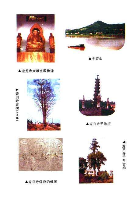 《湘潭县佛教志》.pdf电子版_湖南省志预览图5