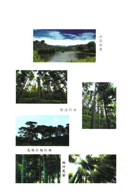 《胜峰国有林场志》.pdf电子版_湖南省志预览图5