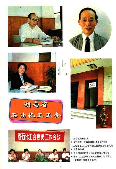 《湖南省石化工会志》.pdf电子版_湖南省志预览图2