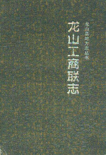 《龙山工商联志(1911-2006)》.pdf电子版_湖南省志缩略图