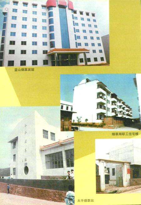 《蓝山县烟草烟志》.pdf电子版_湖南省志预览图4