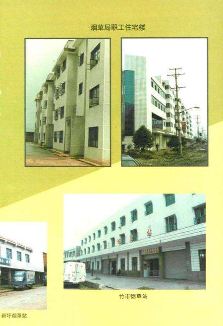 《蓝山县烟草烟志》.pdf电子版_湖南省志预览图5