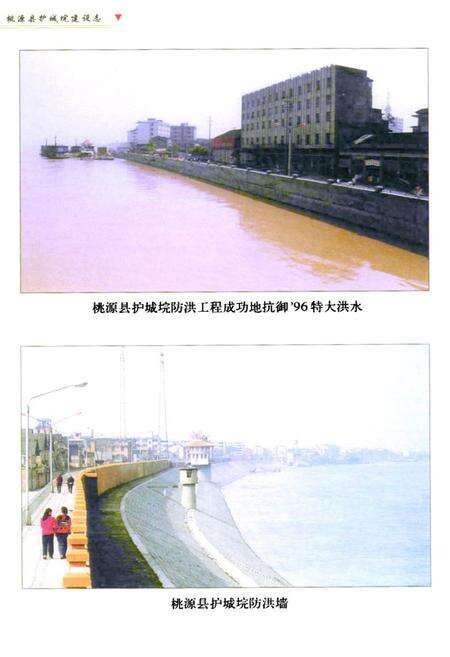 《桃源县护城垸建设志》.pdf电子版_湖南省志预览图3