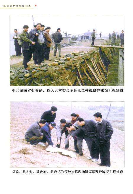 《桃源县护城垸建设志》.pdf电子版_湖南省志预览图5