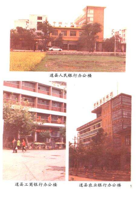 《道县金融志》.pdf电子版_湖南省志预览图5