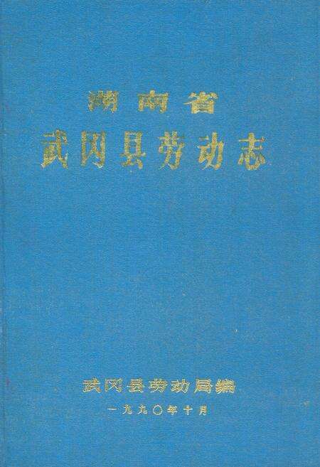 《武冈县劳动志(1949-1990)》.pdf电子版_湖南省志缩略图