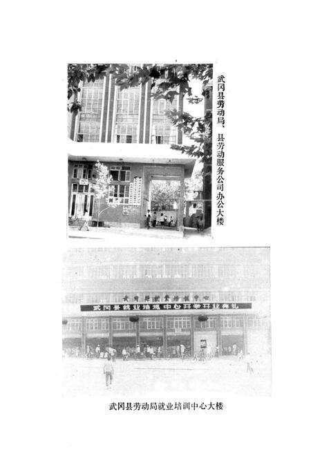 《武冈县劳动志(1949-1990)》.pdf电子版_湖南省志预览图4