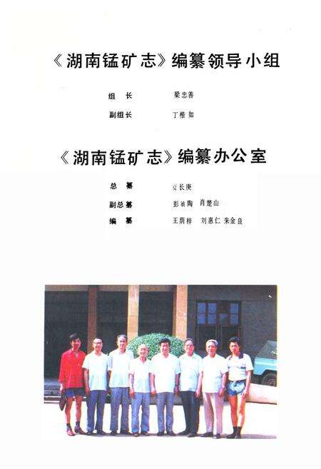 《湖南锰矿志》.pdf电子版_湖南省志预览图5