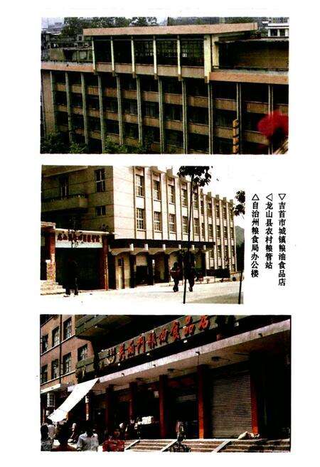 《粮食贸易志》.pdf电子版_湖南省志预览图2