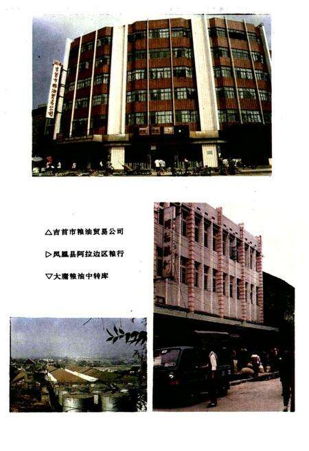 《粮食贸易志》.pdf电子版_湖南省志预览图3